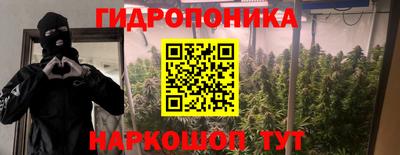 крисы Лесосибирск