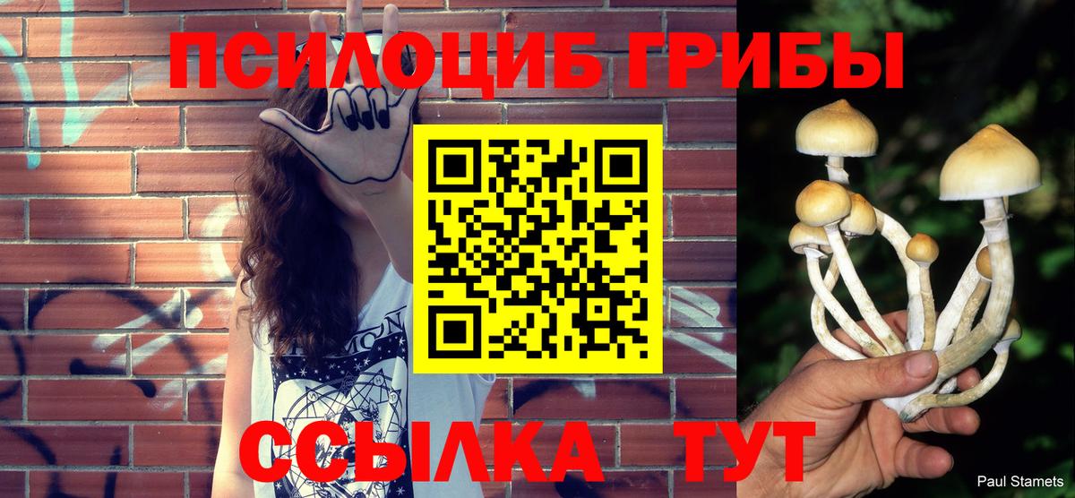 Щёлково  Галлюциногенные грибы Cubensis  Псилоцибиновые грибы Magic Shrooms  Вход с VPN 
